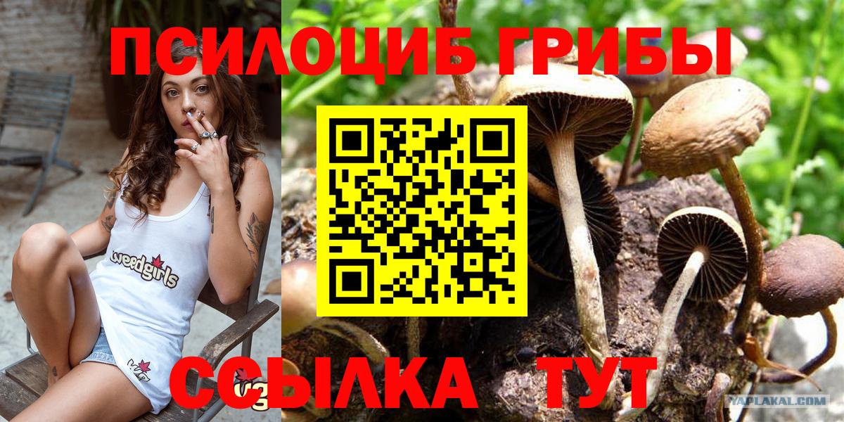 Псилоцибиновые грибы MAGIC MUSHROOMS Егорьевск