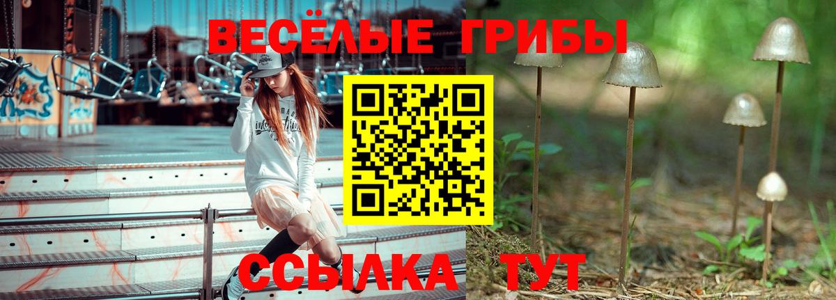 Егорьевск  Псилоцибиновые грибы ЛСД  как найти закладки  Вход с VPN 
